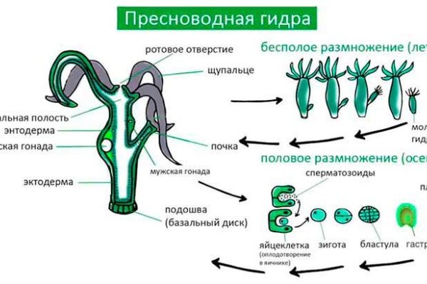 Как зайти на кракен дарк