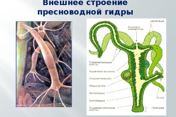 Кракен ссылка на рабочее зеркало