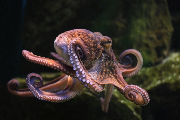 Кракен сайт 1kraken me вход