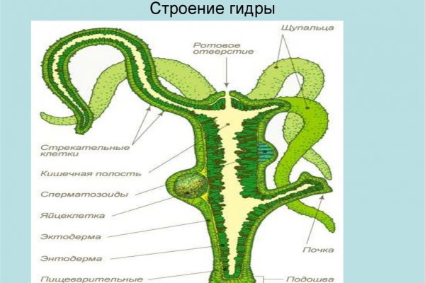Маркетплейс кракен kraken darknet top