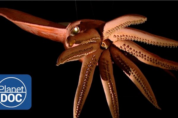 Kraken ссылка на сайт актуальная