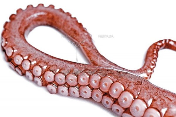 Kraken market